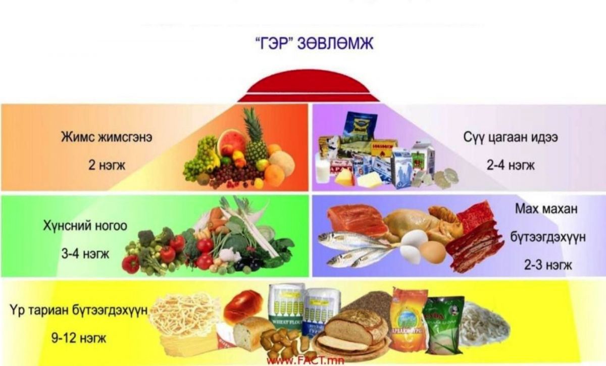 Хоногт авах хоолны илчлэгийн ихэнх хувийг өглөө, үдийн цай хоол бүрдүүлдэг